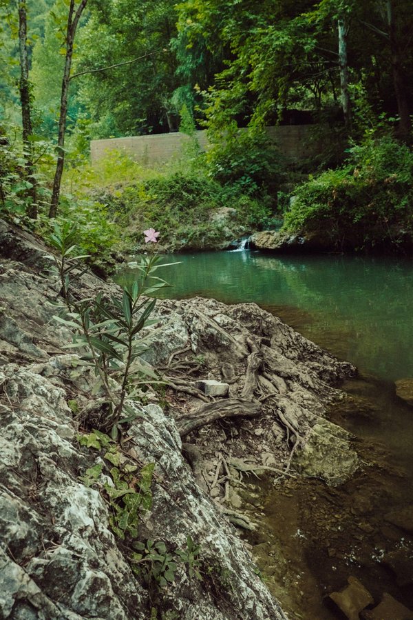 Quelle est la meilleure technique pour réhabiliter un cours d'eau urbain pollué ?